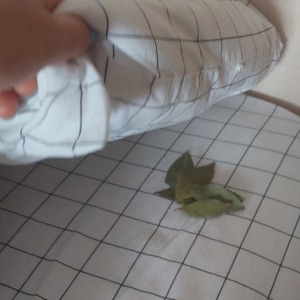 Зачем класть лавровый лист под матрас или подушку: речь идет вовсе не о примете